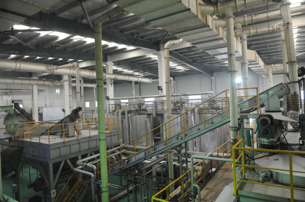 餐廚垃圾的華麗轉(zhuǎn)身 從廢棄物到沼氣、電能與有機(jī)肥料的城市實(shí)踐