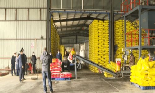 市場(chǎng)監(jiān)管部門抽檢化肥保春耕，筑牢肥料生產(chǎn)質(zhì)量防線